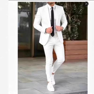 Erkek İş Gündelik Dar Kesim İki Parça Takım Elbise Ceket ve Pantolon
