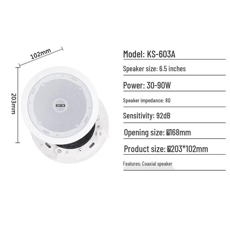 SAST 6.5-inch Coaxial Ceiling Speaker System CN Plug (adapter Included)