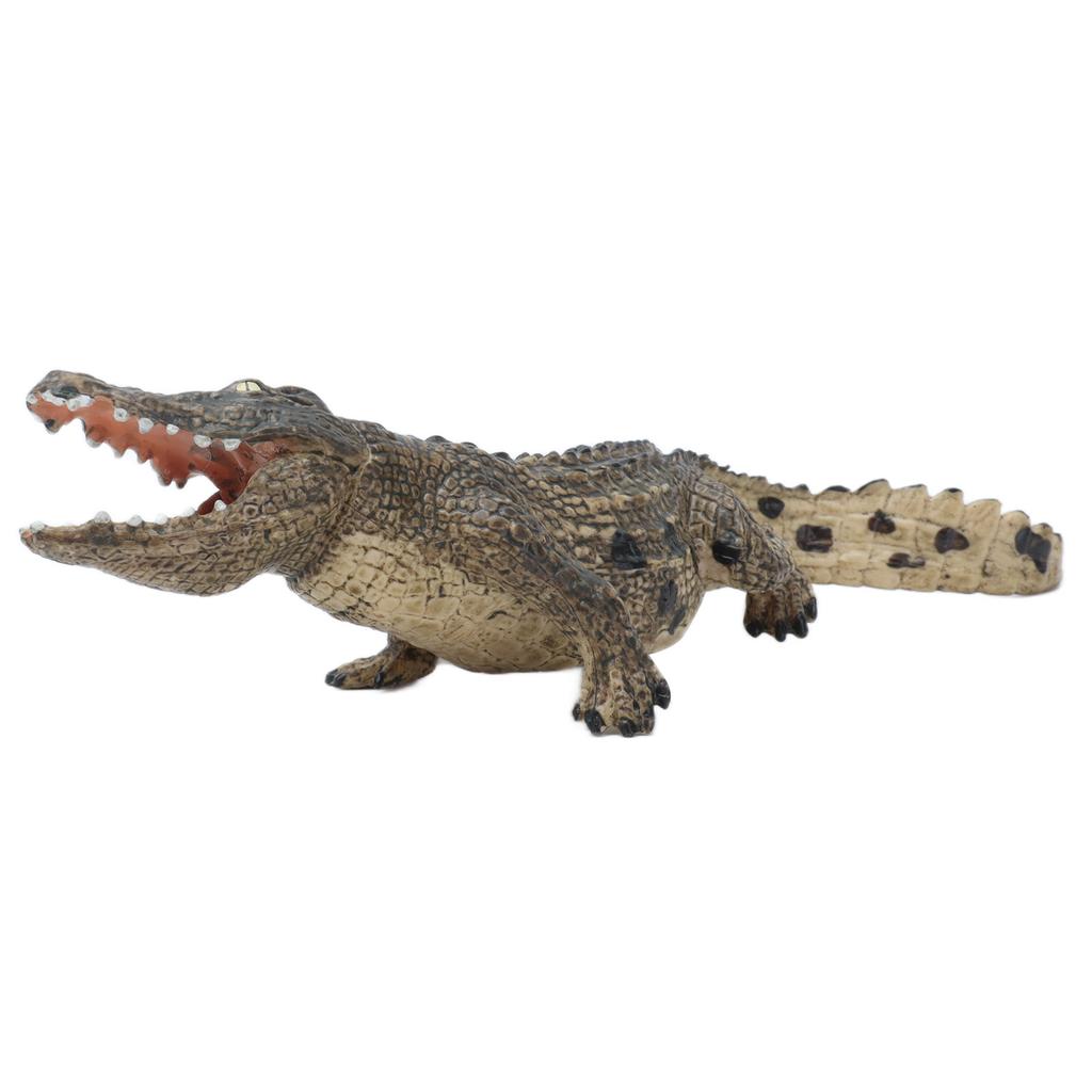 Simulation Crocodilian Model Lifelike Wild Life Jungle Animal Figures Model for Collection Science EducationCrocodilian