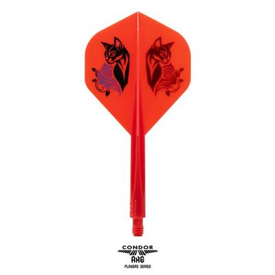 Kapalı alan sporları – Dart Oyunu