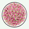 600pcs DIY Toys Rubber Bands Loom Set Kid DIY Bracelet Silicone Rubber Bands Elastic Weave Loom Bands Toy for Kids Goods