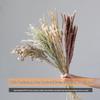 Wabi-sabi Dried Flower Arrangement: Reed, Pine Cones, Cotton, Wheat, Poppy Bouquet
