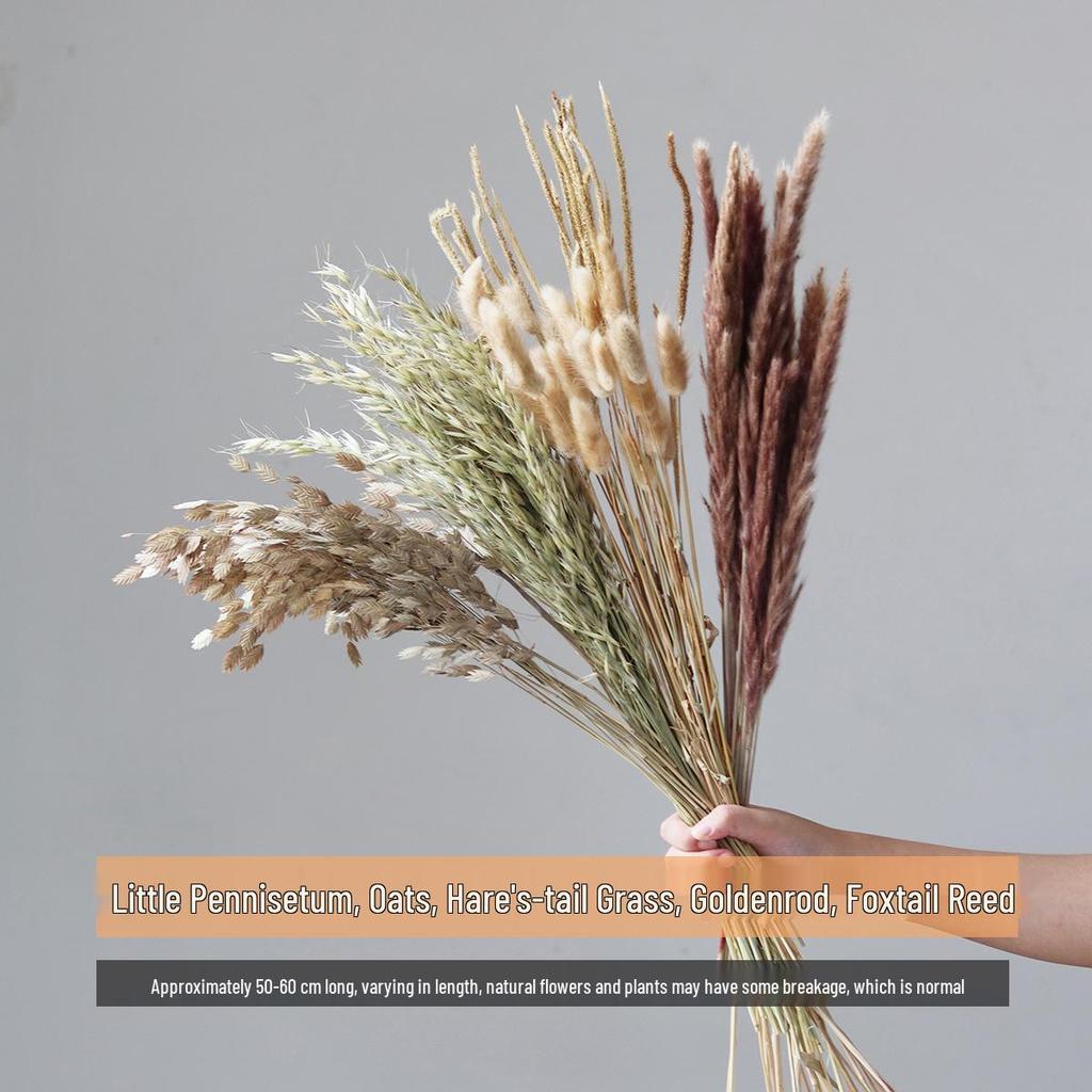 Wabi-sabi Dried Flower Arrangement: Reed, Pine Cones, Cotton, Wheat, Poppy Bouquet