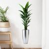 Potted Plant Wall Sticker Removable Self-Adhesive Background Decor for Bedroom Living Room Home Decoration