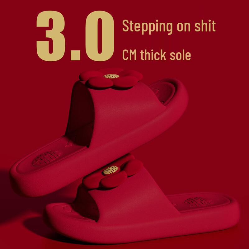 

TZLDN Festive Wedding Slippers 38-39