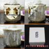 Waza no Kura Stylish Kutani Ware Teacup with Owl Design Large Teacup Ceramic Brand Japanese Tableware Made in Japan Perfect Gift for and 88th