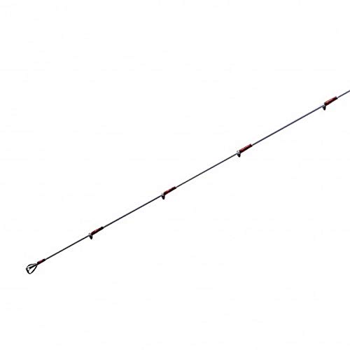 SHIMANO Salt Water Rod Tairaba Enugetsu XR 2021 Model Offshore Tairaba B610ML-S/R