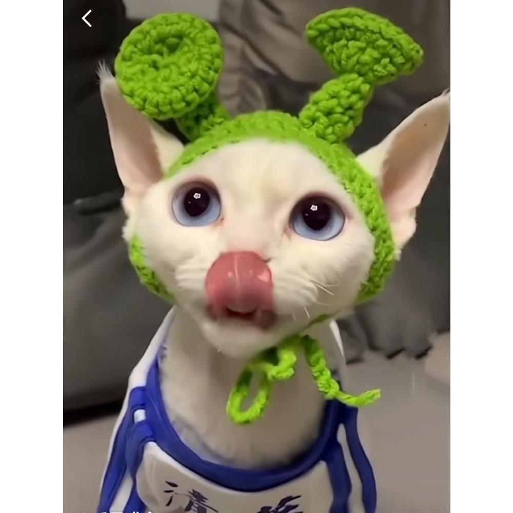 Cappello intrecciato a mano per animali domestici, simpatico cartone animato gatto cane, abbigliamento cappello decorazione, copricapo per animali domestici