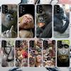 Affen Memes Weiche Handyhülle Für Samsung Galaxy A52 A42 A32 A22 A12 A02S A51 A50 A41 A31 A21S A71 A40 A30S A20E A10S A70
