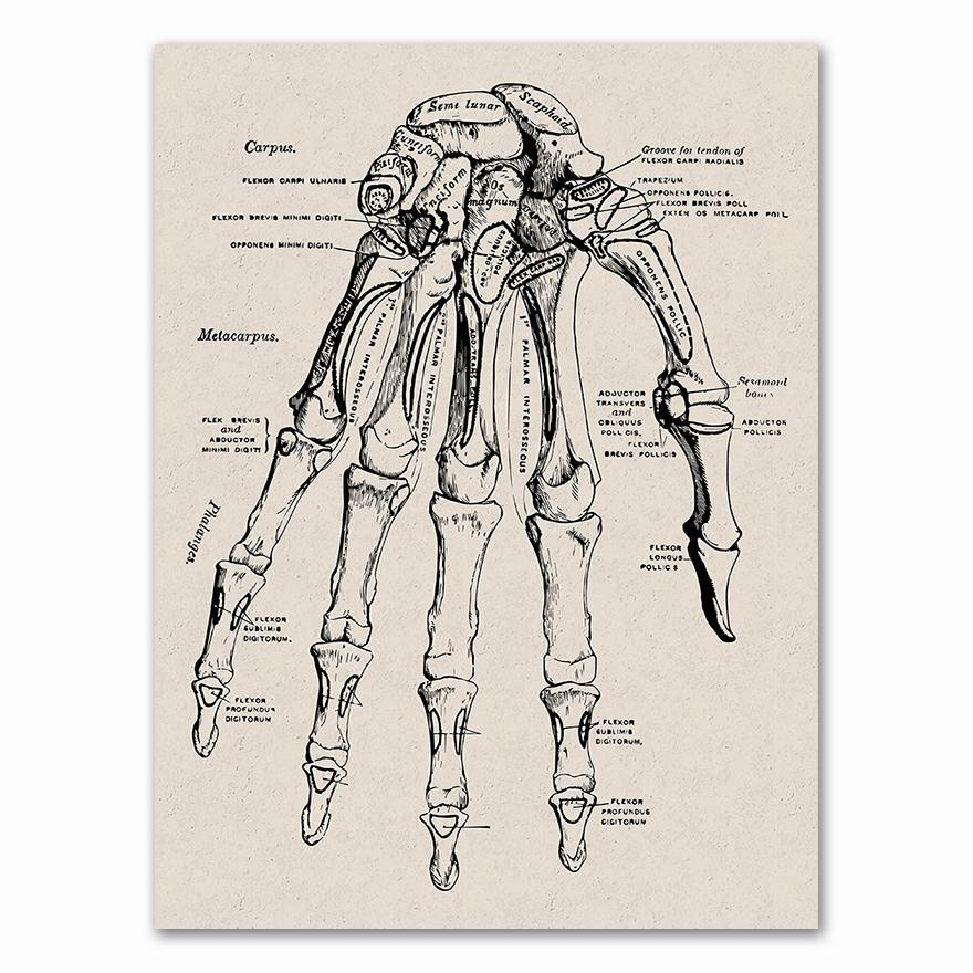 Anatomy skeleton Patent Vintage Poster Wall Art Print Canvas Painting Nordic Posters And Prints Wall Pictures For Living Room