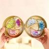 Anti Anxiety Dumpling Fidget Toys 3Pcs Glitter Transparent Pack With Steamer Sensory Toy for Work Break Relaxation