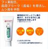 Sunstar GUM Kodomo Hamigaki Dental Paste Fruit Mint Flavor 70g