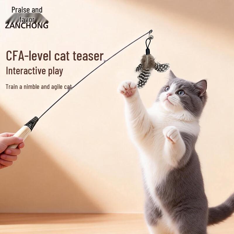Zan Chong Wooden Handle Spring Cat Teaser Wand with Feather & Bell