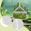 Jumping Spider Enclosure, Microhabitat, Habitat Terrarium, Mantis Breeding Box