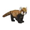 Red Panda 67 No.6309