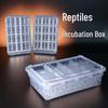 Mingzhu 20-Egg Reptile Incubation Box for Geckos, Bearded Dragons, Snakes, and Turtles