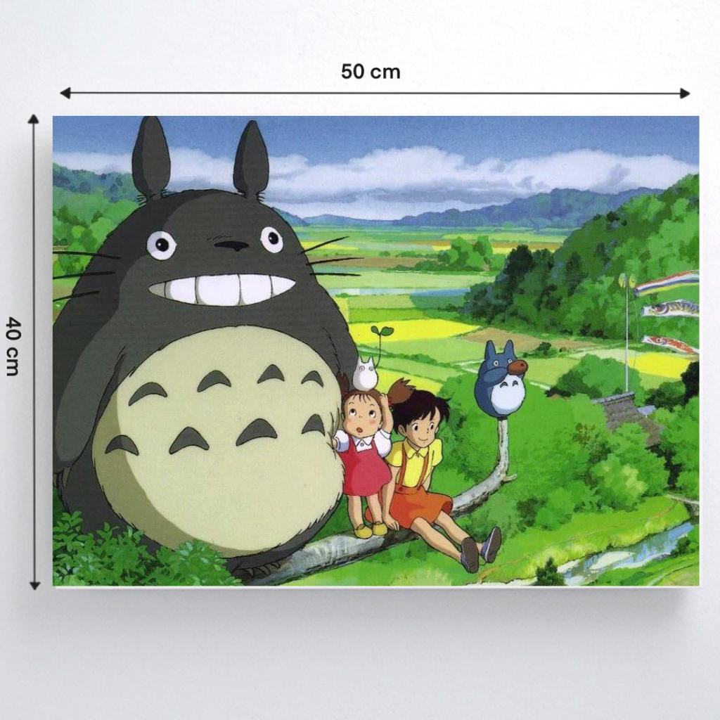 Malen nach Zahlen mit Rahmen Bilder zum Malen - Totoro Ghibli 50x40 cm