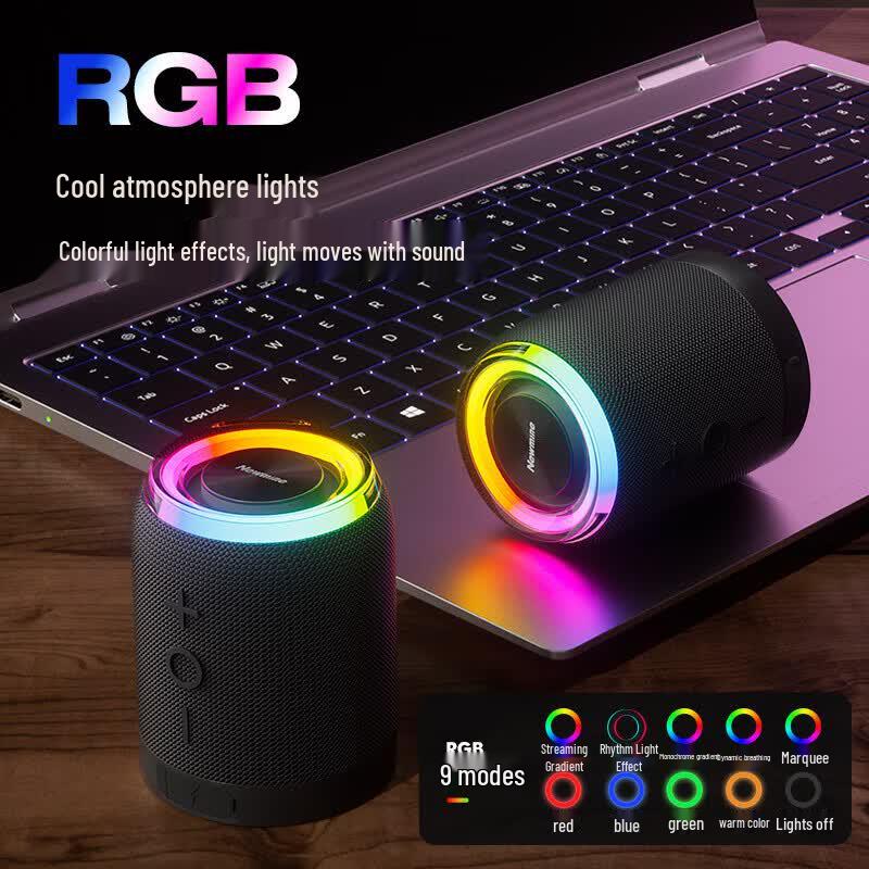Newmine PBS015 Tragbarer Bluetooth-Lautsprecher (CN-Version)