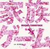 Fuji TV Wednesday 10pm Drama Original Soundtrack "Family Game"