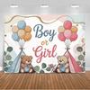 The genre Reveal theme backdrop baby party decorations supplies pink blue bear gift banner newborn shower photography4864