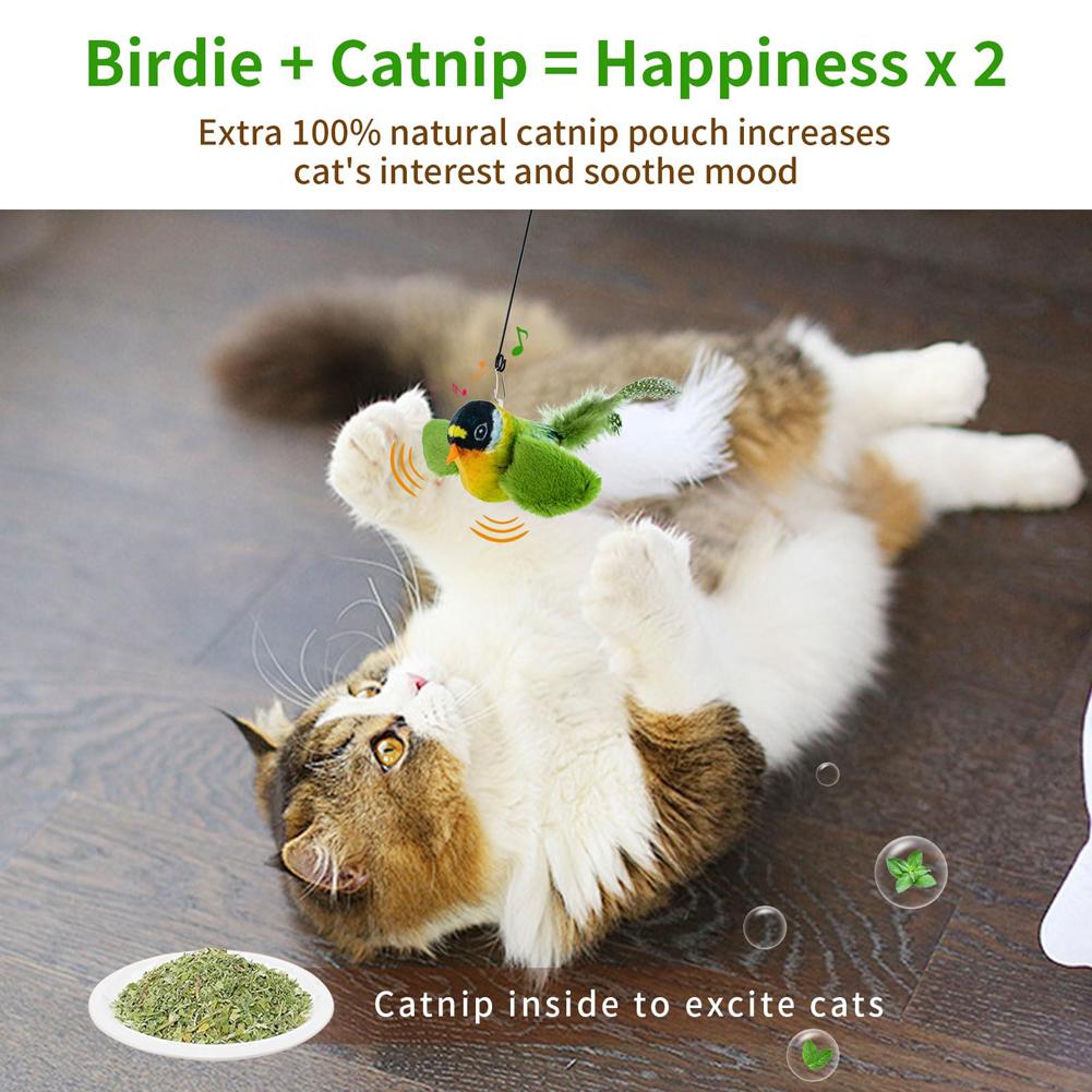 Bird Cat Feather Toy - Teaser Toy Touch Activated for Kitten, Funny Chirping Bird Interactive Toys Retractable Hanging