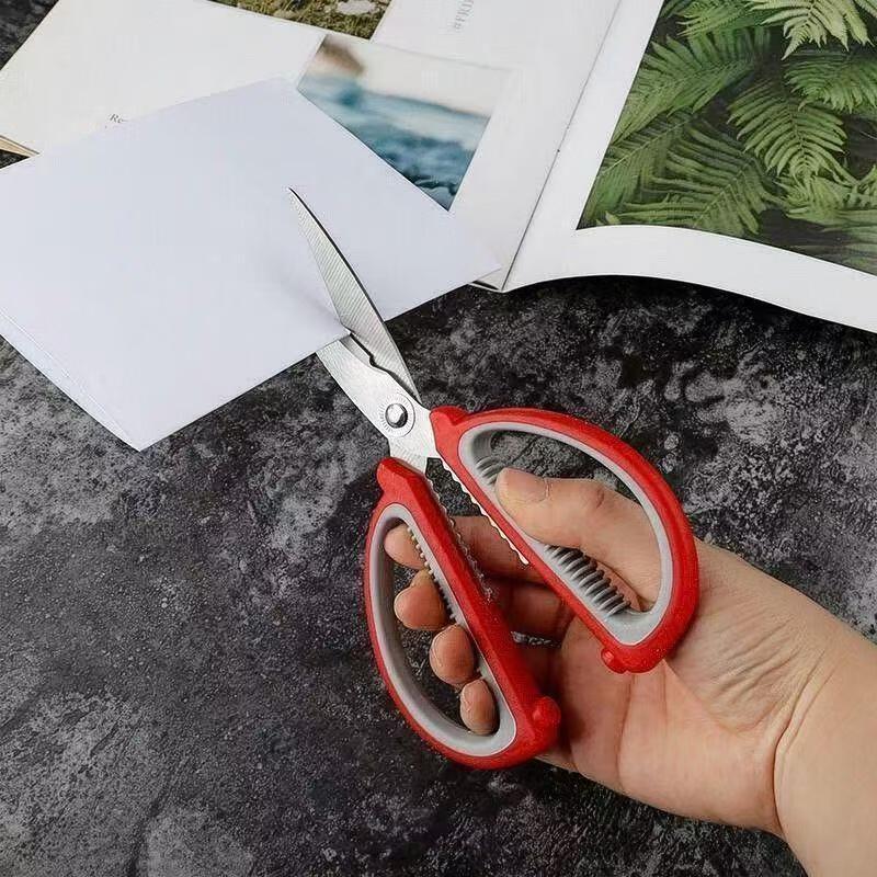 ZISIZ Multipurpose Kitchen & Craft Scissors