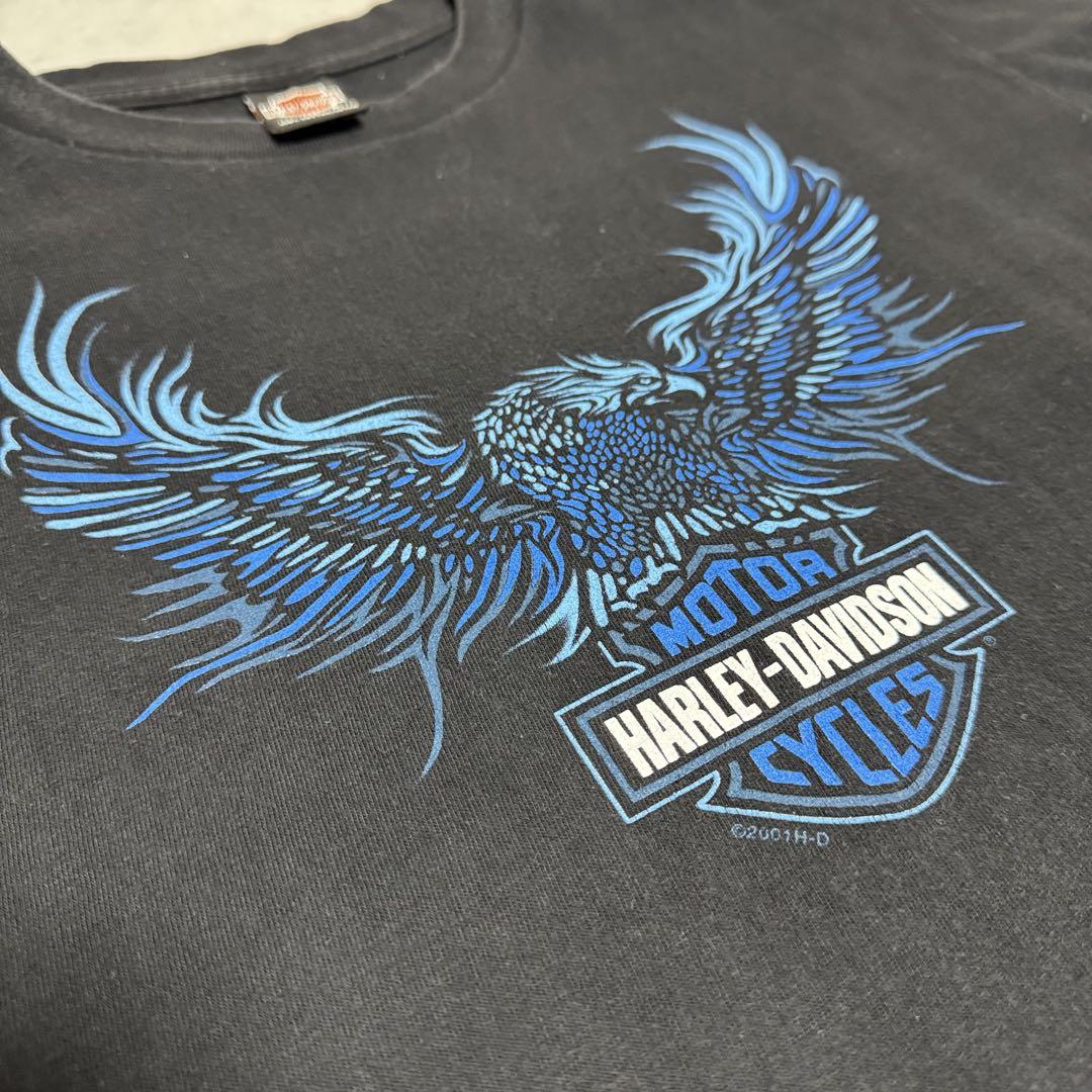 

[Б/У] Футболка Blue Eagle производства США Harley-Davidson