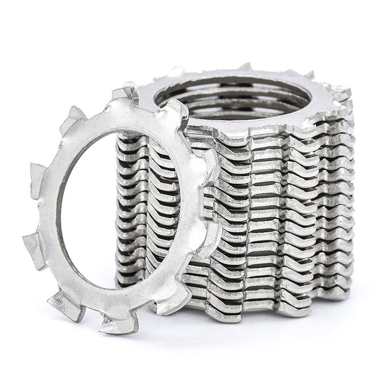 Set di Rondelle Dentate Esterne in Acciaio Inossidabile 304