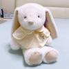 Plush Rabbit Stuffed Animal Sitters With Cloak And Flower Decor For Girls Gift And Home Decor
