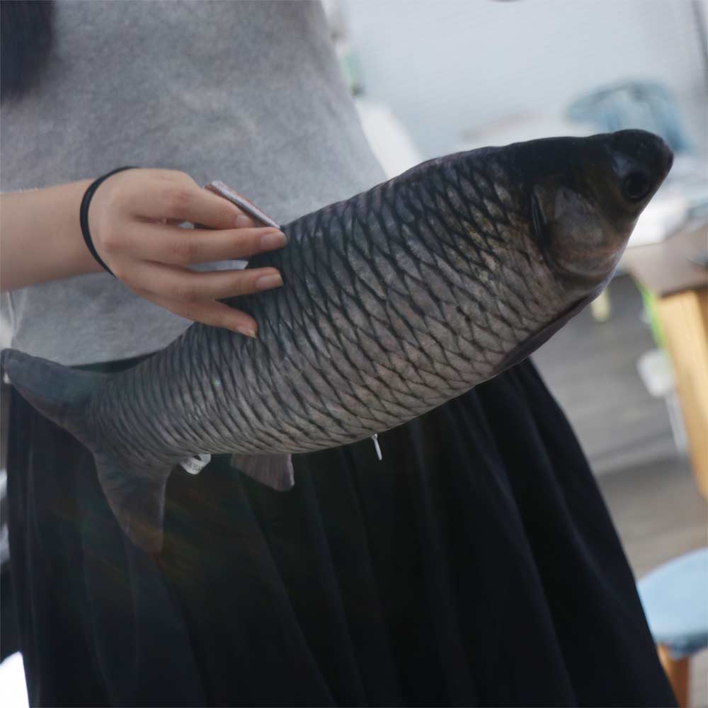 Mossambica Simulation Fish Plush Toys Tilapia Fish Anime Pillow Dolls Home Decoration