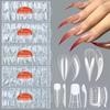 160pcs/Box Curved Stiletto Nail Dual Form Full Cover Molds For 3d Cat'S Claw Sculptural Acrylic Nail Extension