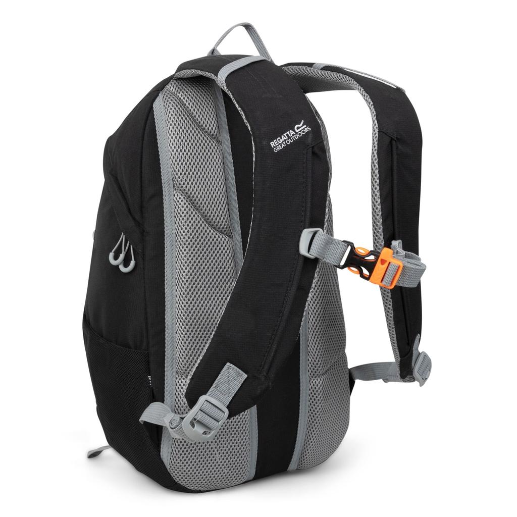Regatta Survivor V4 20L Backpack