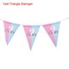 Baby Gender Reveal Party Decoration Boy Or Girl Disposable Tableware Pink Blue
