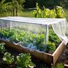 Robuste Gartensichtschutz-Netzplane Pflanzen-Insektenschutz-Abdeckung Moskitonetz Polyester-Schutz Fein für Hochbeete Gewächshaus Terrasse Langlebig