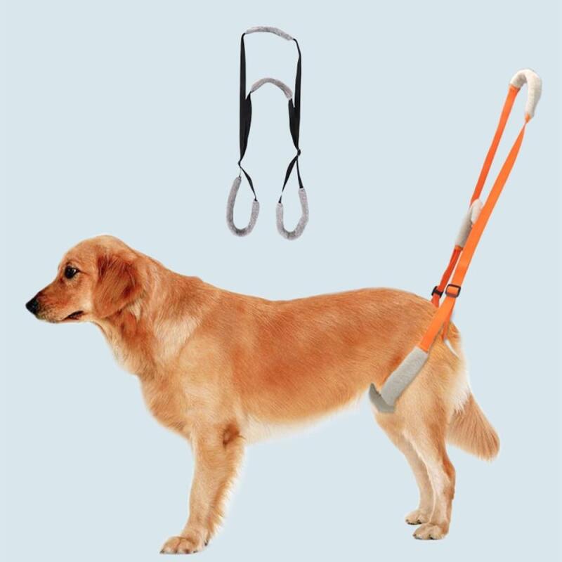 1 dog hind leg support harness (choose one color) orange