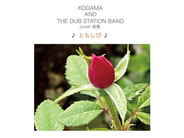 

[CD] Cover Kyoku Shu Tomoshibi KODAMA AND THE DUB STATION BAND KURASHI-7 NEW