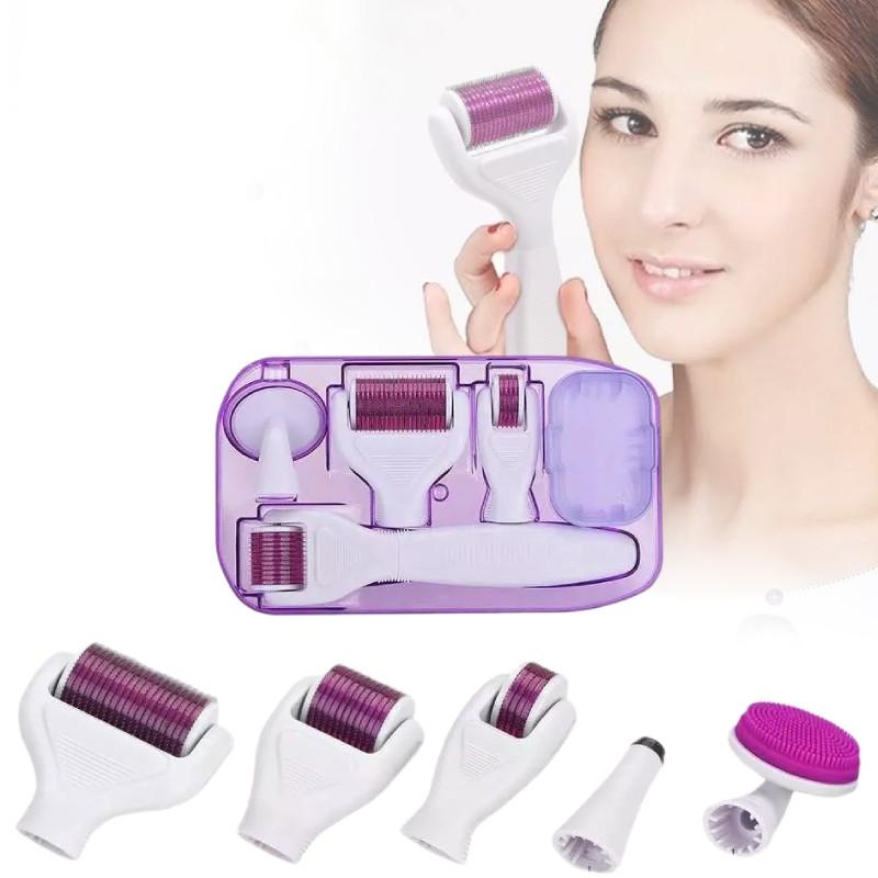 Roller 6 Derma In 1 Titanium Micro Needle Anti Ageing Facial Skin Care Tool Set