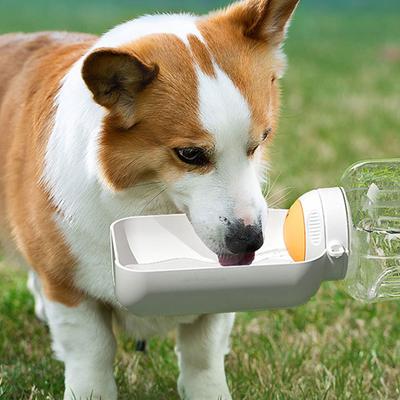 Pet Drink Bottle Water Treats Container for Walking Camping All Size Dog Portable Water Dispenser for Outdoor Activity