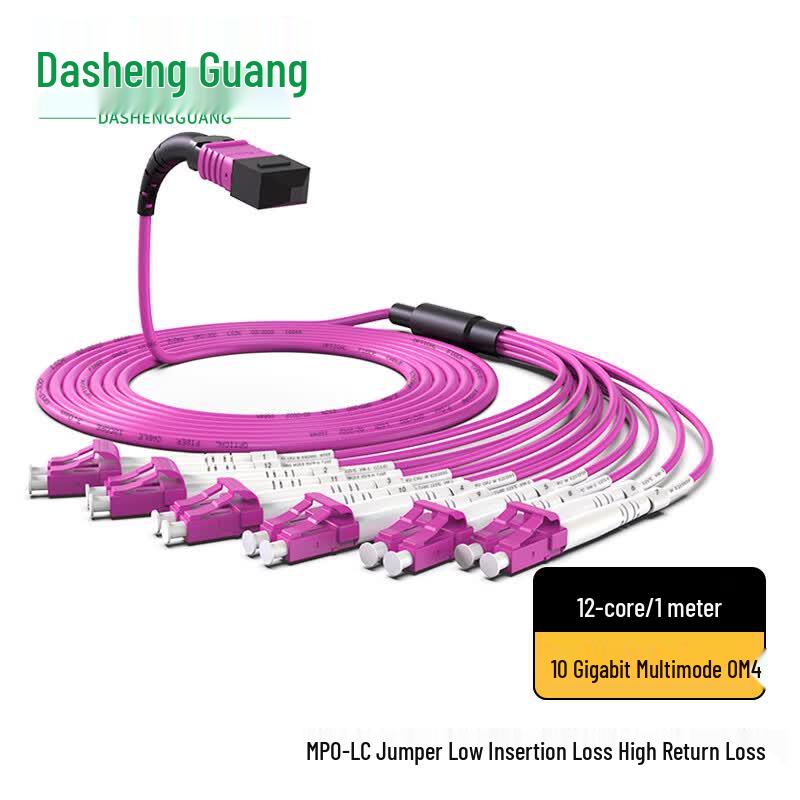Dasheng Light MPO-LC OM4 12-Core Fiber Optic Patch Cable 1 meter