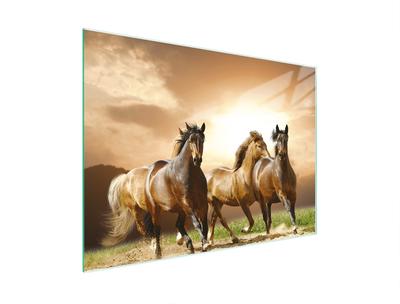 SZKLANA DESKA DO KROEJNIA 30x22 KONIE