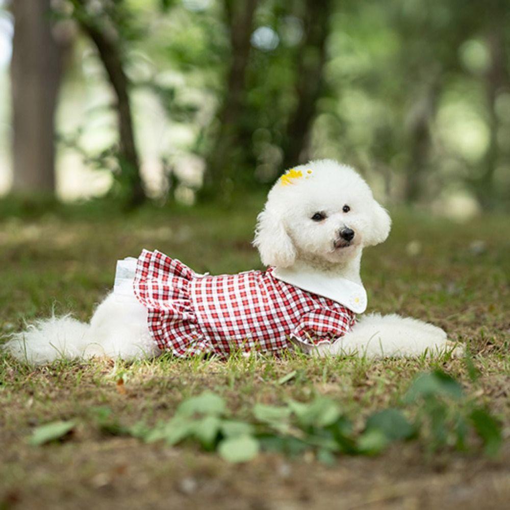 Skin-friendly Pet Clothes Cotton Puppy Skirt Bichon Frise Spring Pet Dress  For Small Medium Dogs