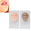 2Pcs Silicone Lip Model With Display Stand Simulated 3D Thickened Lip Piercing Practice Model