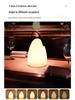 Portable Rechargeable Night Light: Cross-Border E-commerce Camping & Bedroom Table Lamp