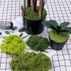 Bionic Fake Moss Turf for Landscaping & Ornamental Potted Plants - Lawn, Bonsai, Micro Landscape & Paving Decor