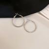 High-End Light Luxury Cold-Style Metal Hoop Earrings