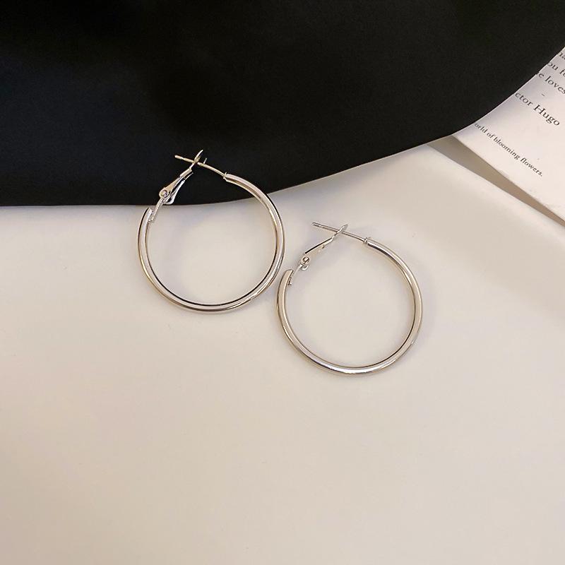 High-End Light Luxury Cold-Style Metal Hoop Earrings