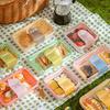 Disposable Picnic Food Containers
