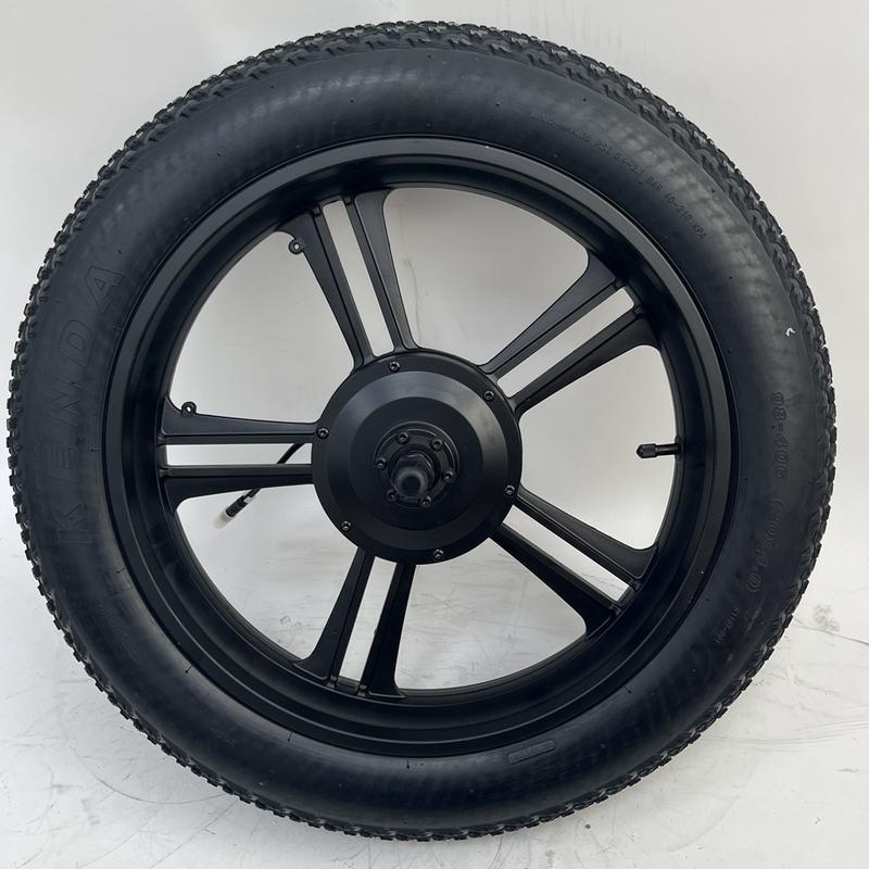 20inch 36/48V 500W Brushless Gear Hub Motor Integrated Wheel for Fat Bike Snow Bike 170mm Dropout  with 20x4.0 Tire