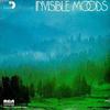 LP Record VARIOUS  Sessions Presents Invisible Moods DPL20109 Sessions 1974 US Jazz Used