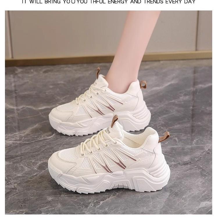 Internet celebrity dad shoes women 2025 mesh casual shoes spring fashion lightweight platform student trend sports shoes women